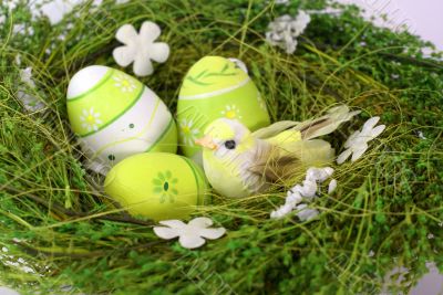 green nest with eastereggs and colred small bird