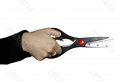 cutting scissors