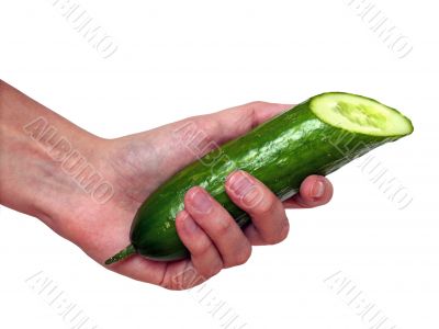 Cucumber Cucumber