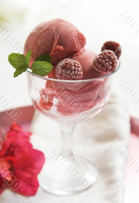 raspberry sorbet