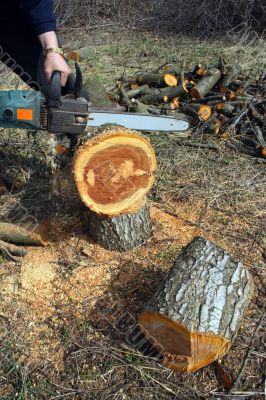 electric saw electric saw