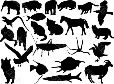 Silhouettes of animals Silhouettes of animals