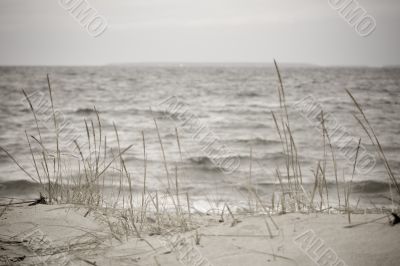 Beach with grass in bad weather
