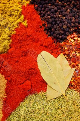 spices assortment