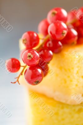 Vanilla cake Vanilla cake