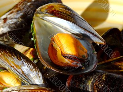 Cooked mussels