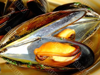 Cooked mussels
