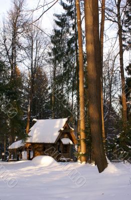 Fairytale woods Fairytale woods