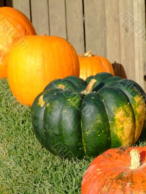 Pumpkins