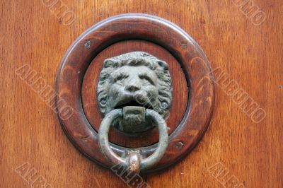 Doorknocker with lion head Doorknocker with lion head
