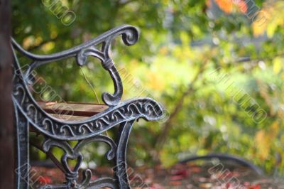 Bench overlooking autumn leaves