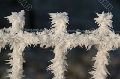 Ice crystals on fence due to heavy frost