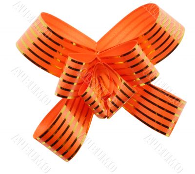 Orange bow