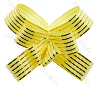 Yellow bow