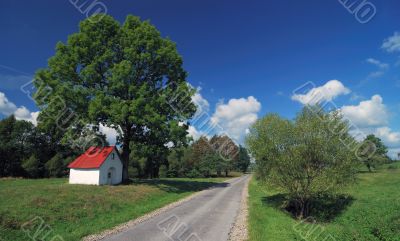 Nice landscape green blue sky and empty way Nice landscape green blue sky and empty way