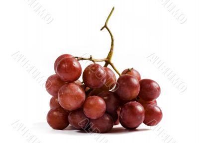 Bunch of red grapes Bunch of red grapes