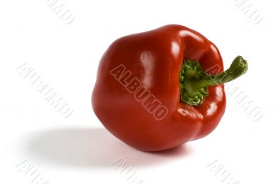 Red Paprika on white background Red Paprika on white background