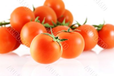 a lot of nice fresh juicy tomatos a lot of nice fresh juicy tomatos