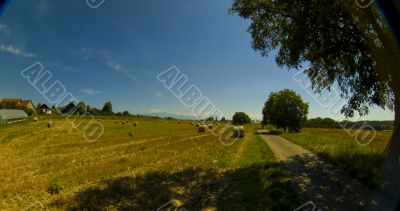 summer on the farm