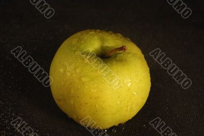 The apple