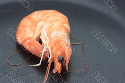 Shrimp on a pan