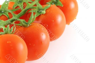 close up of fresh juicy tomatos bunch