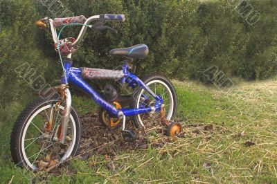 Rusty Bike