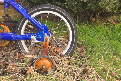 Rusty Bike