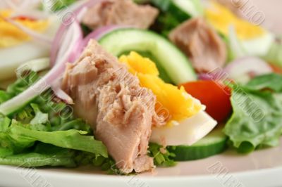 Tuna And Egg Salad Tuna And Egg Salad
