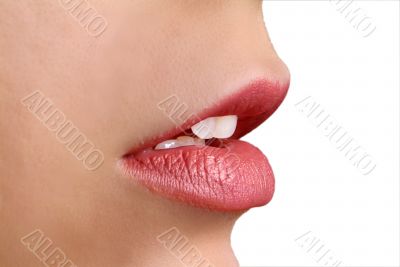 rote Lippe | red lip