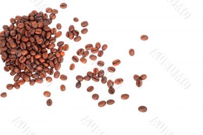 coffee beans on white