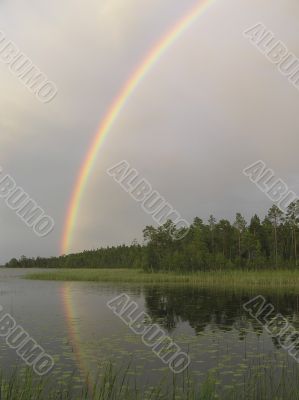 Rainbow over wood lake