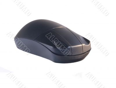 Mouse Mouse