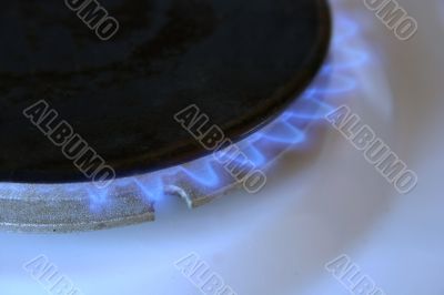 Gas Stove Flame