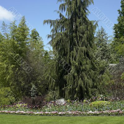green park