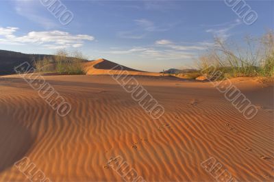 Striped dunes. Striped dunes.