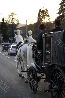 horsed carriage in the city
