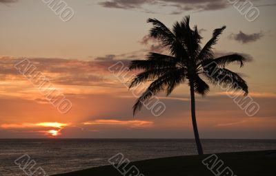 Sunset over the sea