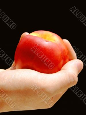 Hand and peach