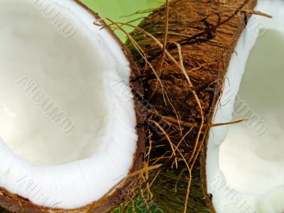 Coconut