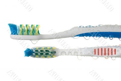 Tooth brushes