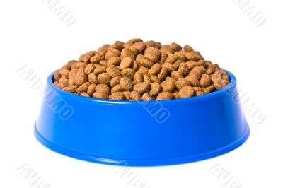 Cat`s food