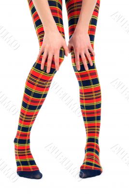 Funny legs in multicolored tights