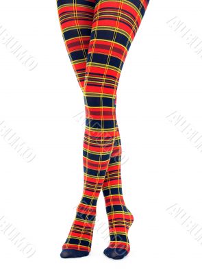 Legs in multicolored fancy tights