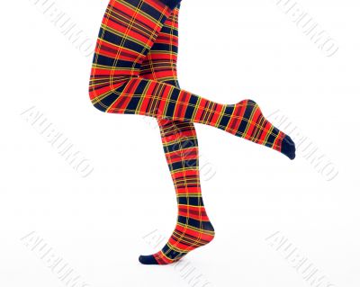 Nice legs in bright fancy tights Nice legs in bright fancy tights