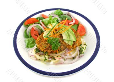 Tuna And Carrot Patties