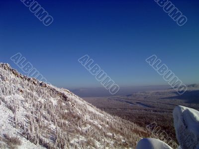 winter forest in mountains