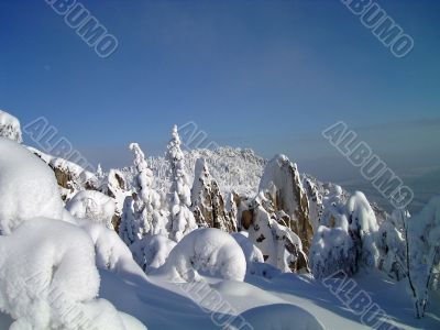 winter in mountains, forest, rocks