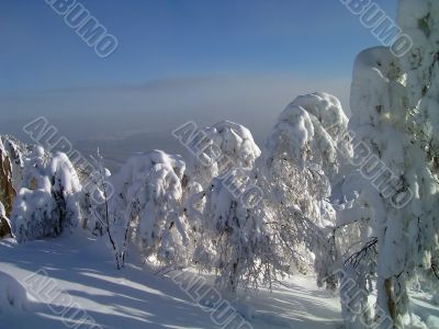 winter in mountains, forest, rocks