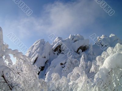 winter in mountains, forest, rocks